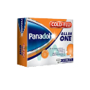 Panadol Cold &amp; Flu All in One Tablet 24