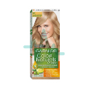 Garnier Color 9.1