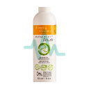 Alyssa Ashley Ginger & Curcuma Shower Gel