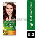 Garnier Color 5.3
