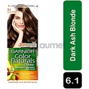 Garnier Color 6.1