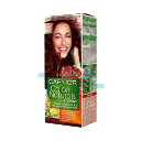 Garnier Color 6.6