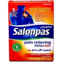 Salonpas Pain Releiving Patch 7x10cm 5Pcs
