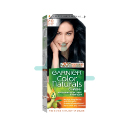 Garnier Color 2.1