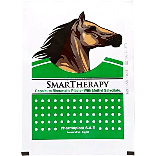 SmarTherapy Muscle & Joints Pain Green Heat Patch