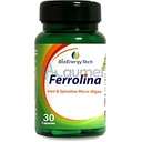 Bio Energy Ferrolina 500mg Capsule 30