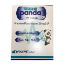 Panda Extra 500mg Tablet 96