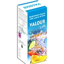 Valour Multivitamin Syrup With Lysine and Zinc 200ml