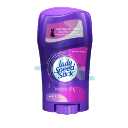 Lady Speed Stick Wild Invisille Dry Power