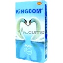 Kingdom Plain 12pcs