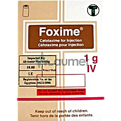 Foxime 1g Vial + Water For Injection IV Injection 5ml