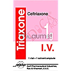 Enoxirt 1g IV Vial Solvent 1