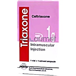 Enoxirt 1g IM Vial + Solvent 1